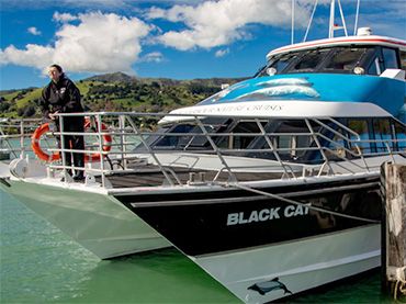 Black Cat Cruises