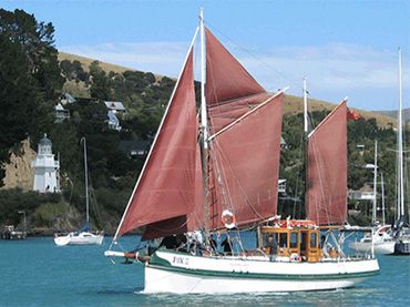 Akaroa Fox II