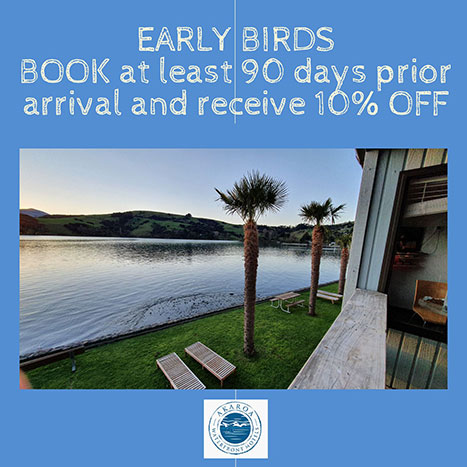 Early bird 10% off