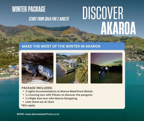 Winter package relax, penguins, and stars